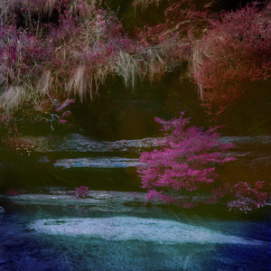 慢脚文化小电影在线观看
